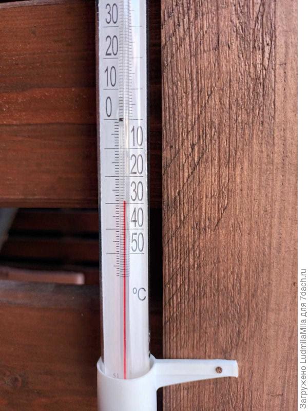 Пригороды Зеленогорска