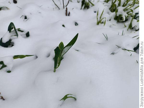 А все равно скоро весна!!!
