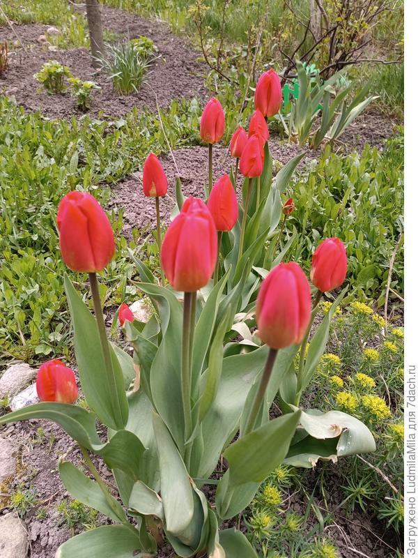 А это уже вечер 8 мая