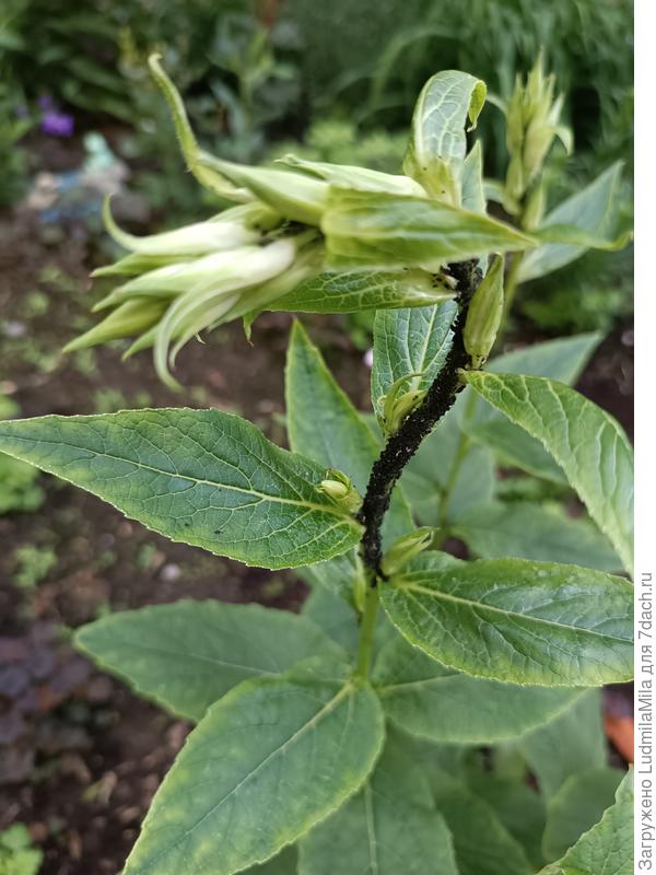 Общежитие какое-то...Сколько же ее...