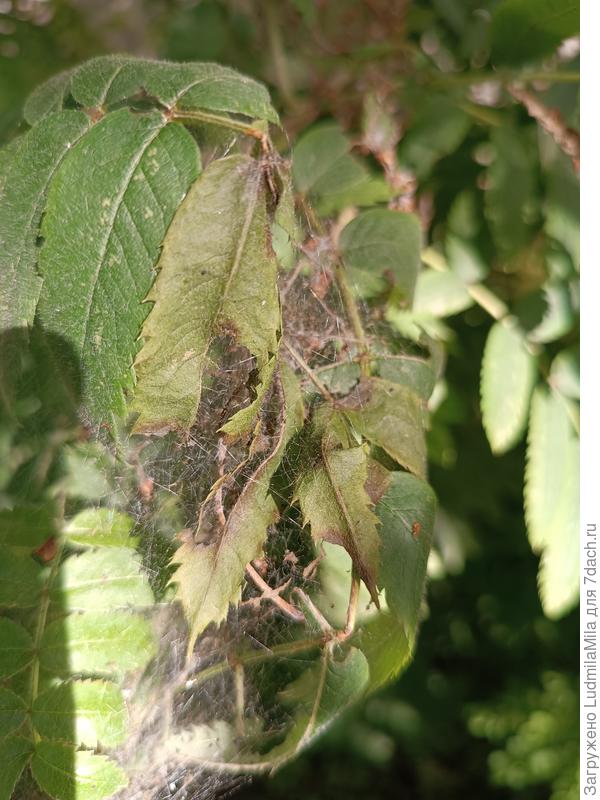 Такие жители нам не нужны