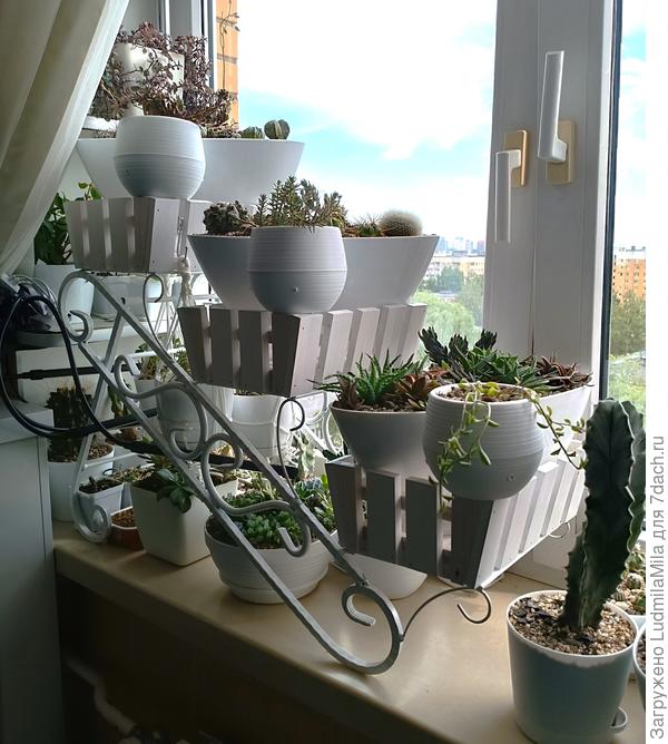 Цветочница