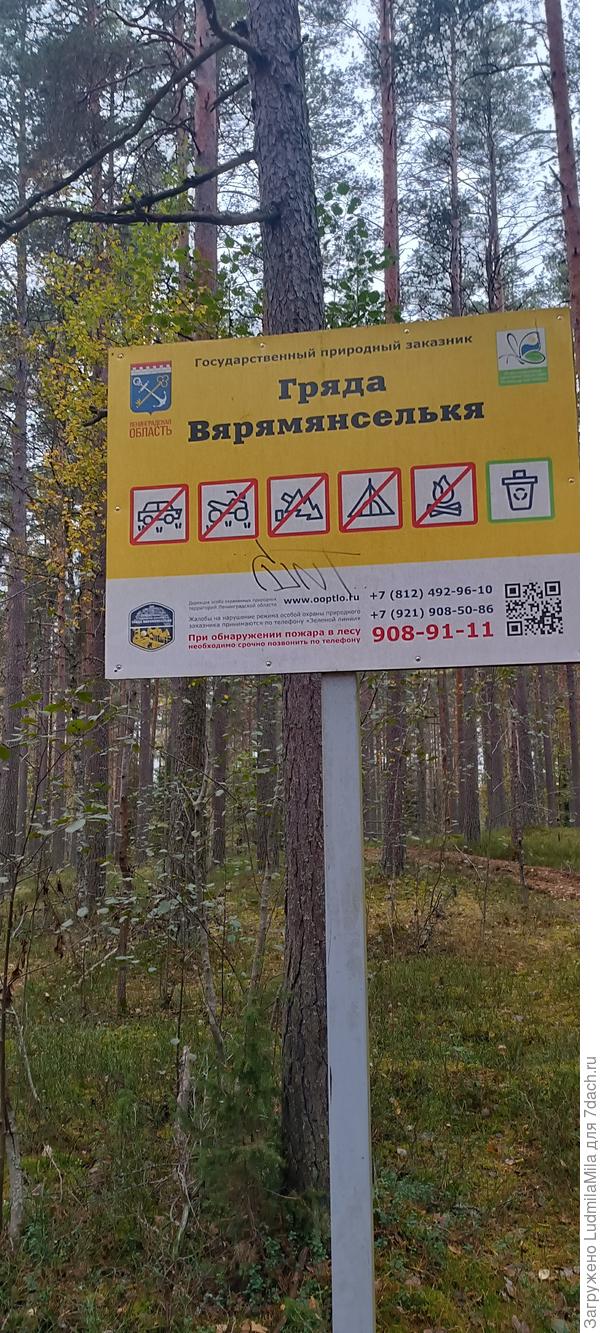 Гряда