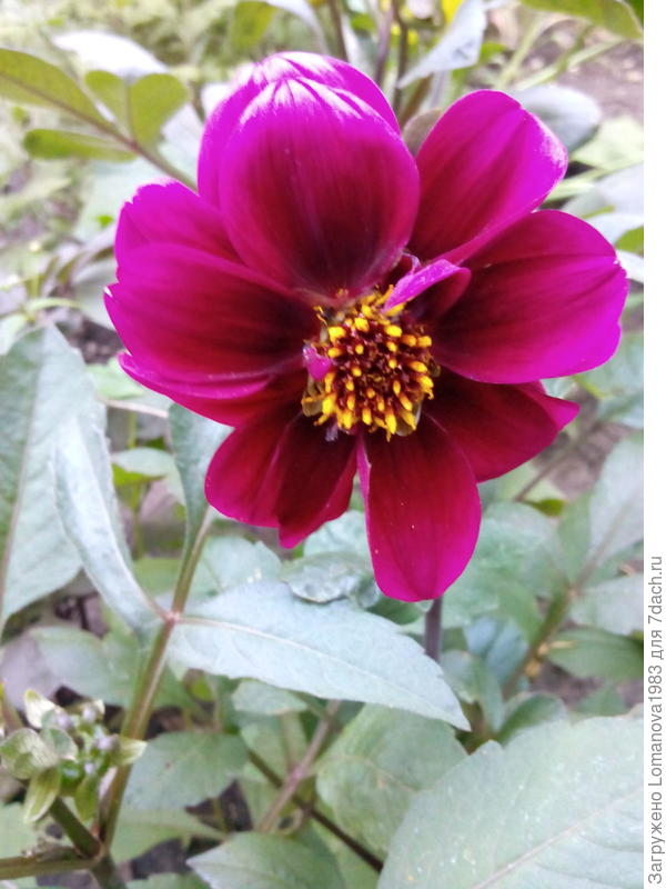 Весёлые ребята