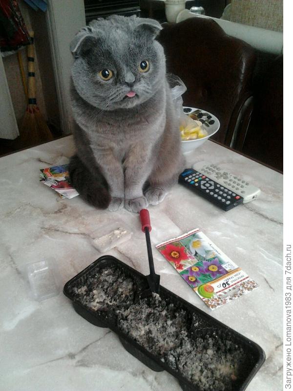 Помогает во всем))))