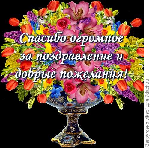 букет цветов