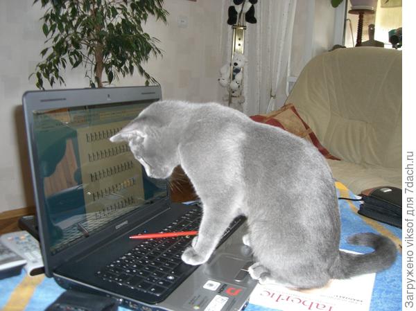 Витас сам тебе шлёт поздравление