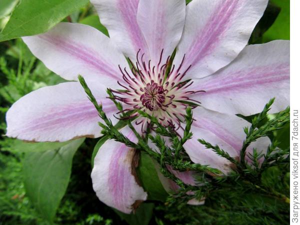 фото 8