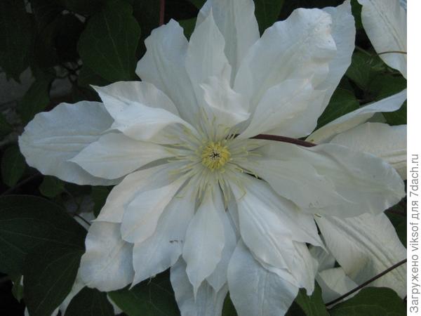 фото 6