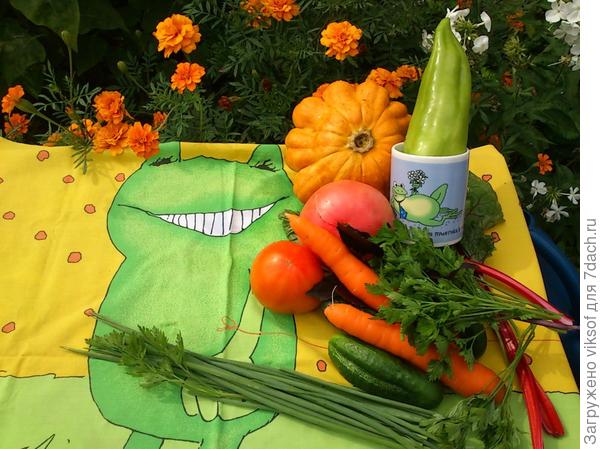 Перекусите  с дороги - всё экологически чистое