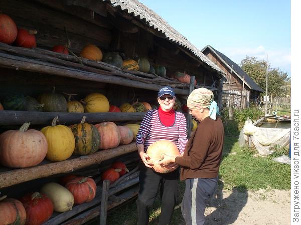 Это урожай прошлого года, в этом году урожай не меньше! А друзей становится больше!