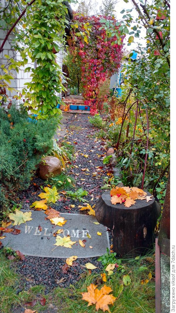 Ой! Я же вас, дорогие семидачники, ещё не утомила - Это так красиво, что не могу остановиться...
