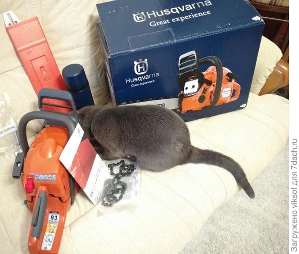 Вот и настали выходные... приехала моя хозяюшка... с призами! А где мой приз? Искал-искал...не нашел, а ведь что она без меня, да не было бы ни одного приза! Вот и где справедливость?