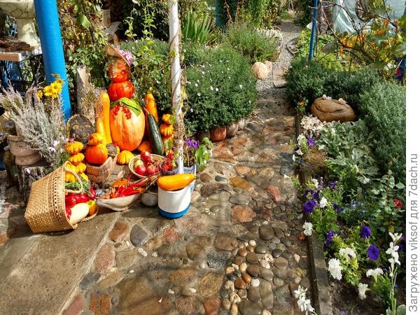 а справа, он же перед клематисами