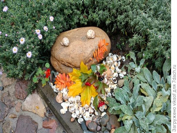 а может. как вариант, серебристые овечьи ушки, справа