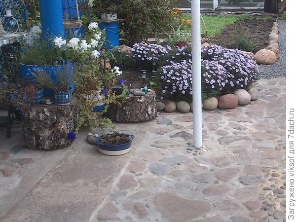 И во время цветения