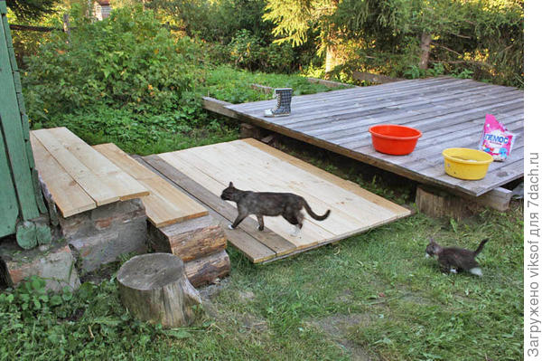 Ну вот бегут они