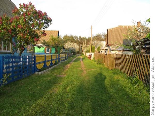 А заканчивается наша улица прямо в сосновом бору...