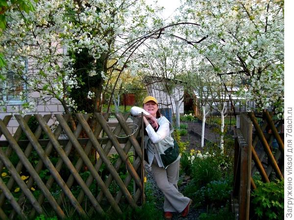 Забор сделал муж сам. чтобы получалось ровненько, заготовил шаблон ( он где-то в сарае есть, если заинтересует сфотографирую...)