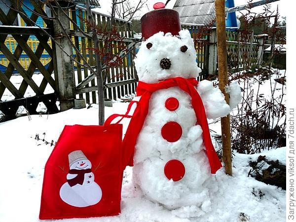 Снеговик - Пётр Николаевич с фирменной сумкой