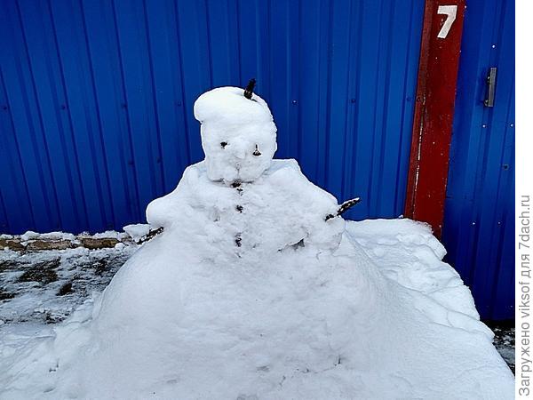 Снежная семидачная королева