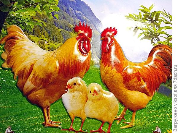 А это фрагмент календаря на 2017 год