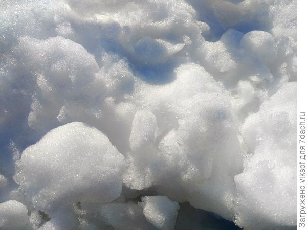 Свежий снег! Свежий снег!