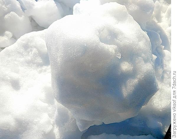 выставляю на торги - свеженький!