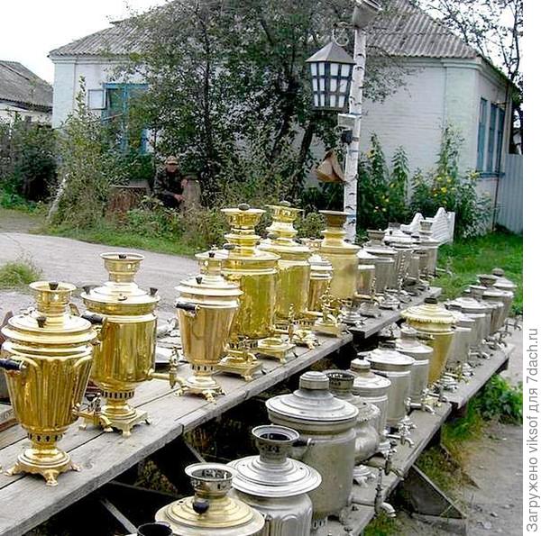 вот они красавцы - один лучше другого