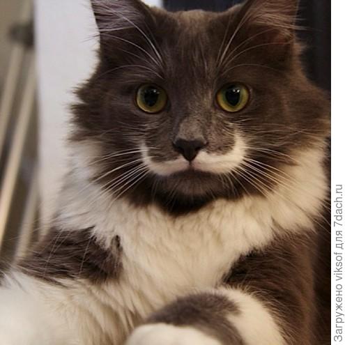 Фото из интернета