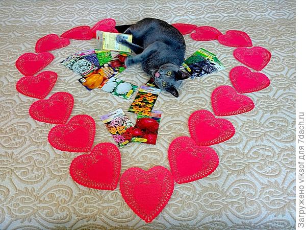 Он немного занят семенами, но уже облизывается...