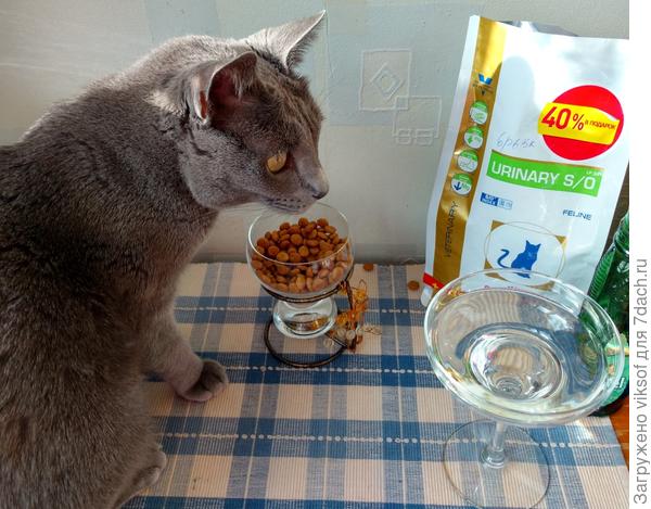 А вот и второй завтрак готов - так, праздник ЖЕ!