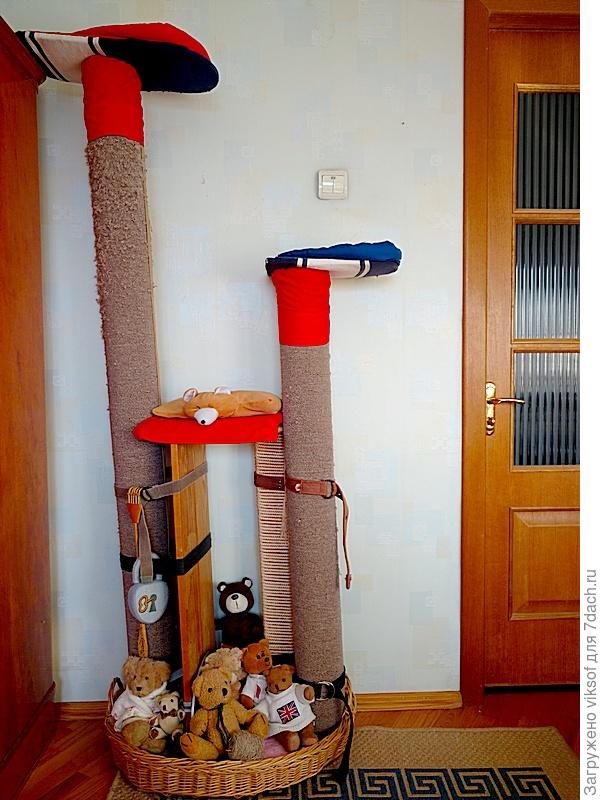 Позировать сегодня Витас категорически отказался