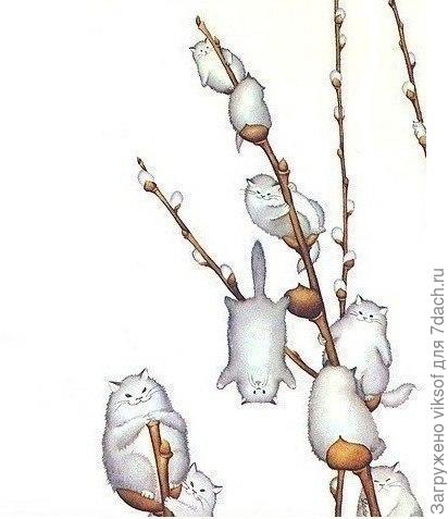 У нас уже распускаются...