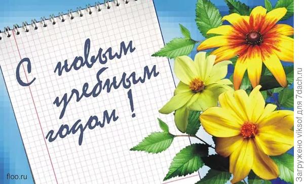 Теперь ты будешь учительницей!