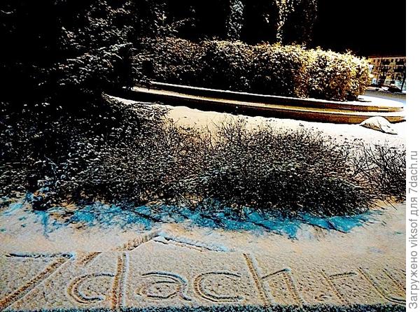 Здесь точно были семидачники