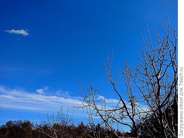 Вчерашнее небо. сегодняшнее и фотографировать не стала...
