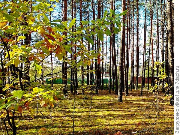 Перед нашим СОТ &quot;Ветеран&quot;