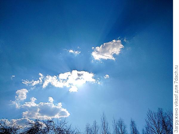 Всем весеннего настроения! Сафия