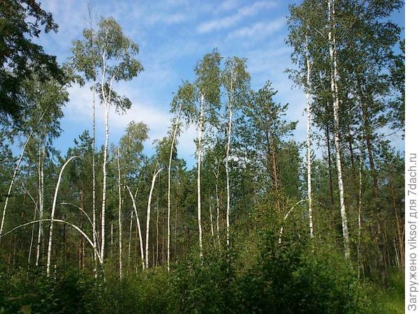 Совсем молоденькие девчонки