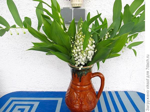 совсем немного на той поляне собрала, я обожаю ходить в майский лес, ландышей так много, что ступить негде, спасибо за прекрасные стихи, как здорово, что ты есть и я тебя узнала! Спасибо Семидачью!