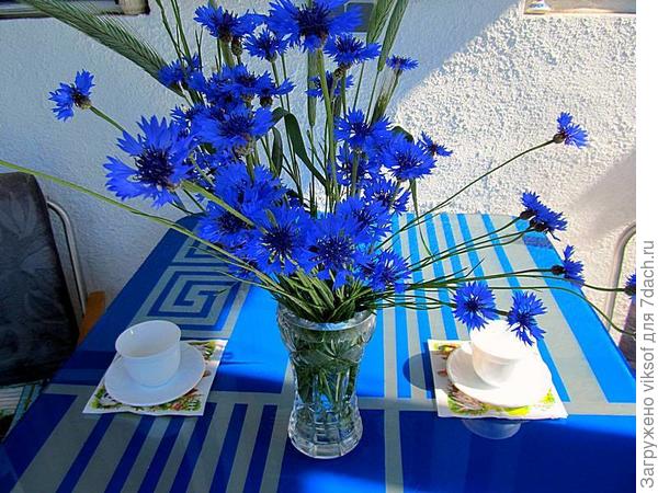 Яночка, для тебя!