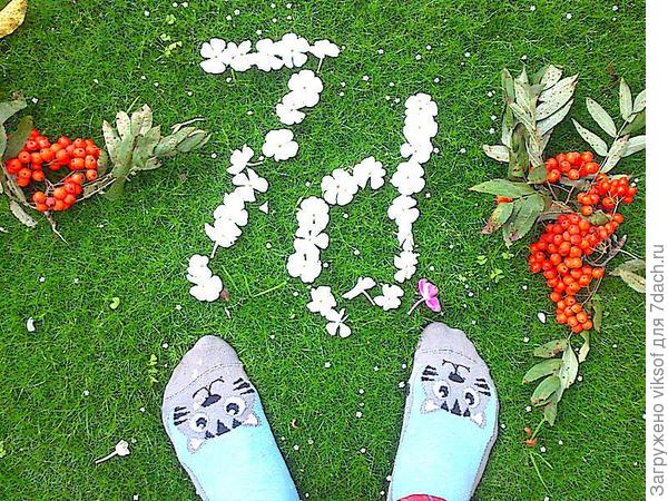 газончк из ирландского мха, мшанки - здесь зарядкой занимаюсь