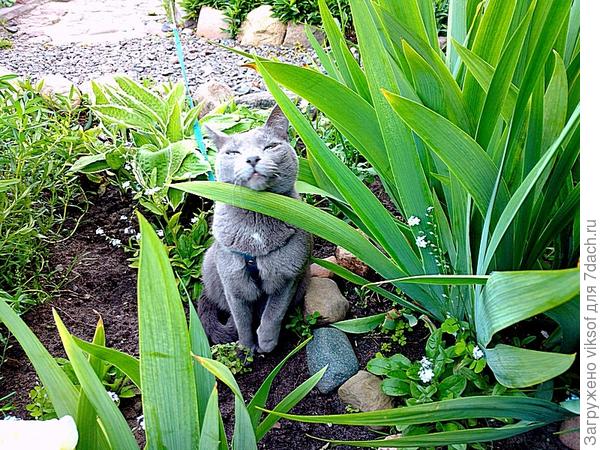 но  никогда не признается, что умудрился поймать воробушка,