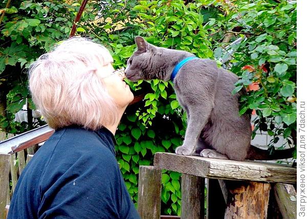 Надо всех обнюхать, всех поприветствовать