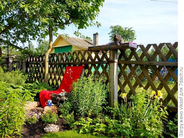 С утра любит обменяться ночными новостями