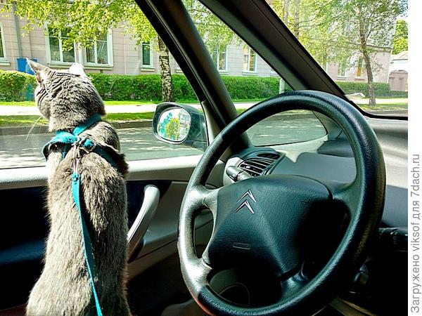 Не повезло...