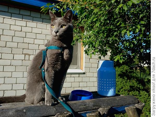 С утра подтянут, хоть просто ждёт Юру-молочника