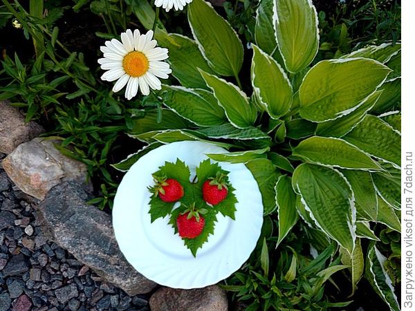 аж, целых три!!! Угощайтесь! Вкусная!!!