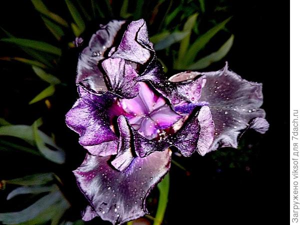 Это ночью он такой